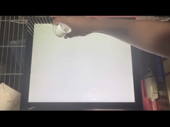 19 pollici PCAP touch screen con funzioni impermeabili e a prova di vandali